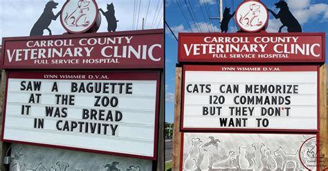 This Vet Clinic Boosts Business Thanks To Its Hilarious Signs (30 Pics)