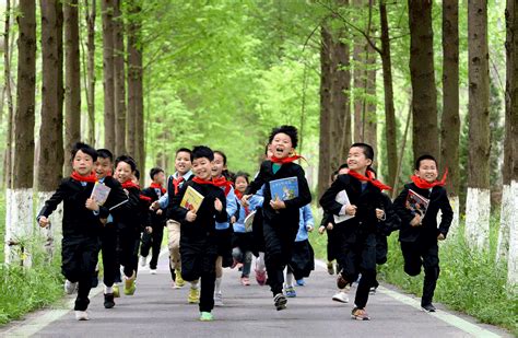 Celebrating 70 years of Chinese education - Chinadaily.com.cn