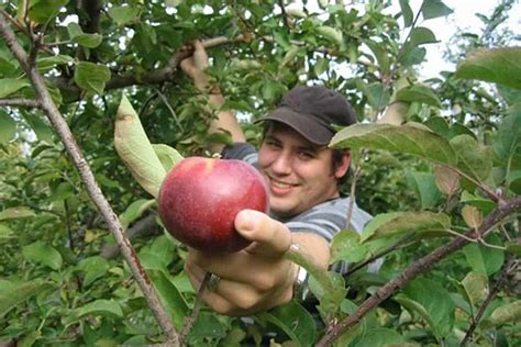 20 Great Orchards for Apple Picking in PA (Updated for 2024 ...