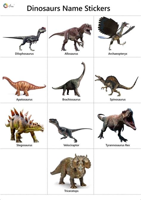 Dinosaurs Names in English: Pictures | Videos | Charts - Ira Parenting | Disegni di gatti ...