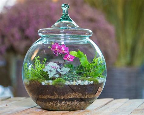 10 Terrarium Designs to Try | HGTV