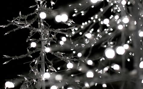 White Christmas Lights Wallpaper - WallpaperSafari