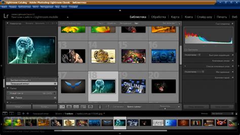 Adobe Photoshop Lightroom Classic 7.3 + Portable Free Download