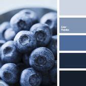 Color palette No. 1439 Cold colors like light gray white blue and dark blue pass | Blue colour ...