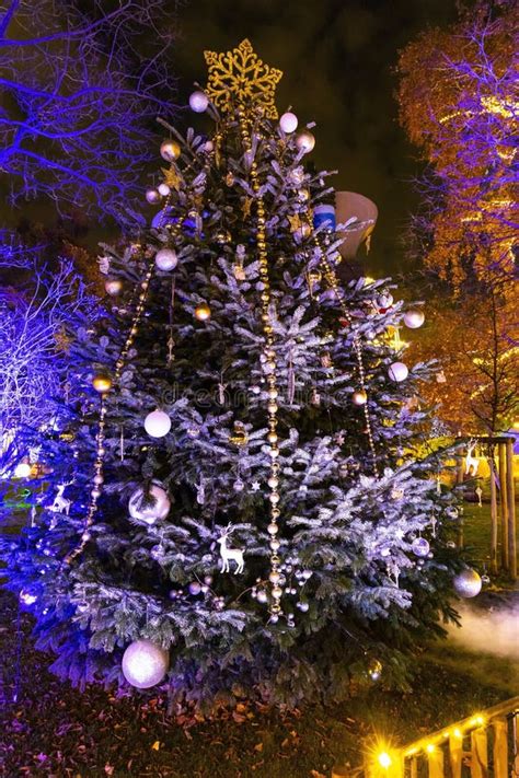 Christmas Tree in Vienna, Austria Stock Photo - Image of landmark ...