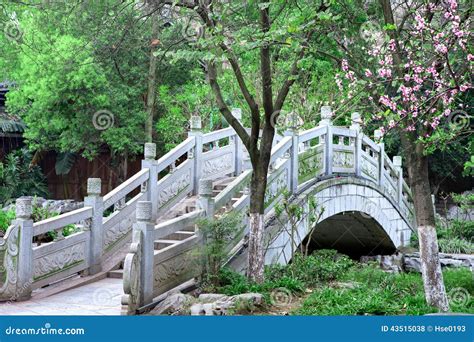 Chinese Style Stone Arch Bridge Stock Photo - Image of plum, landscape ...