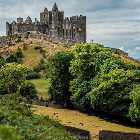 Rock of Cashel, County Tipperary | Castillos, Palacios, Mansiones