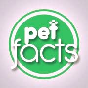 Pet Facts