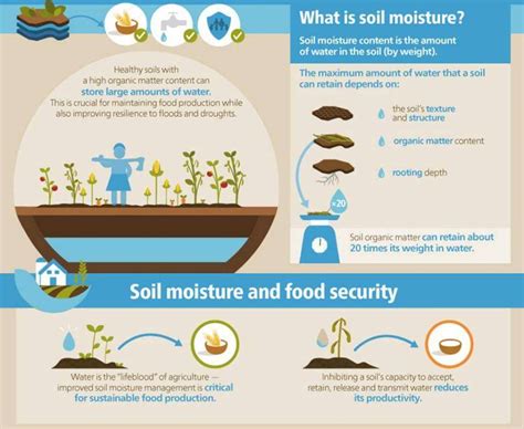 What is Soil Moisture