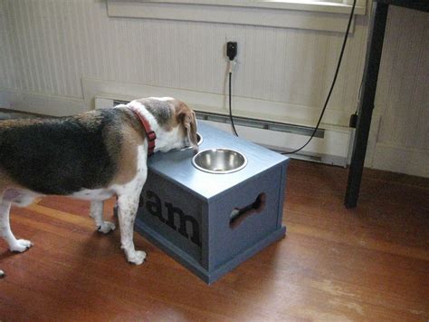 Customized dog feeding station