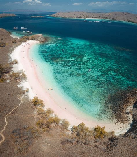 Pink Beach Komodo Island - Pink Sand Beach and Epic Snorkeling – We Seek Travel Blog