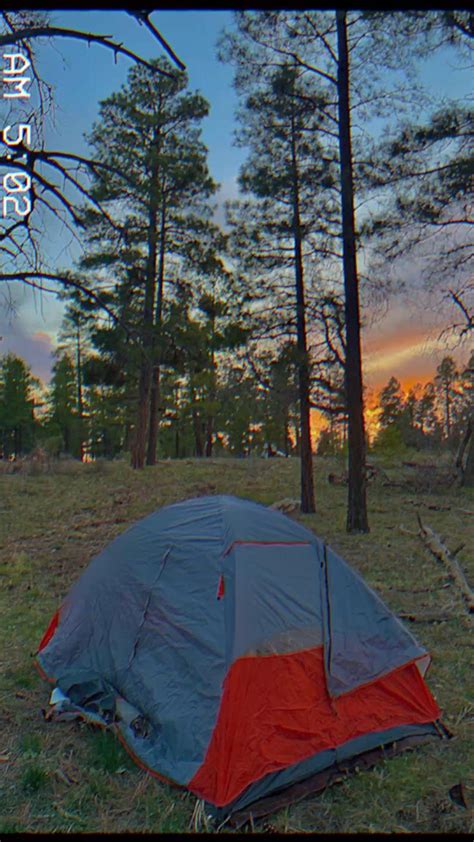 camping // kaibab national forest 🏕 | Travel photography, National ...