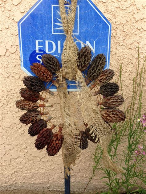 wreath seed pod fall Magnolia | Milkweed pod crafts, Christmas decorations, Christmas crafts