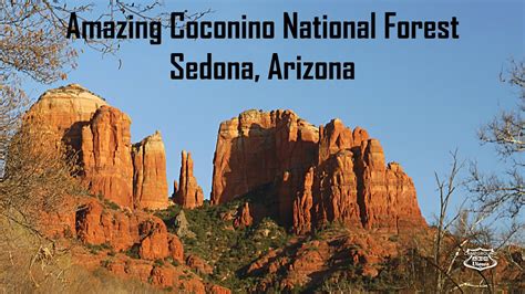 Camp, Hike, Fish, and Explore Coconino National Forest in Sedona Arizona - YouTube