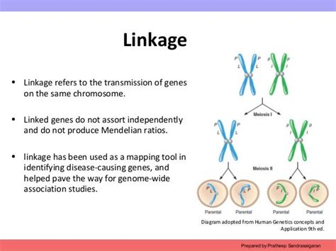 Ch5 linkage