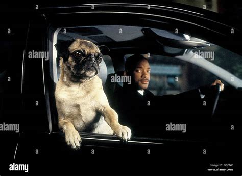 Mib 2 Frank The Pug 2002 High Resolution Stock Photography and Images - Alamy