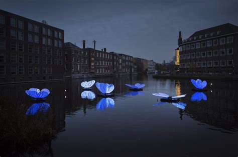 Amsterdam Light Festival, il festival di luci più suggestivo d'Europa