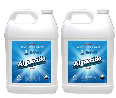 Black Algae in your Pool? Remove it Without Draining your Pool Water