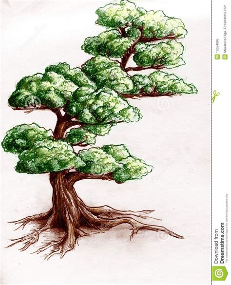 tree drawings color - Google Search | Pencil drawings of animals, How to draw hands, Tree drawing