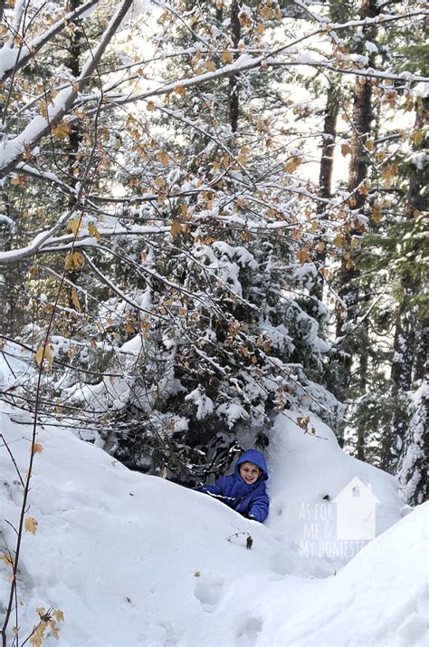 Free: Christmas Tree Permits for 4th Graders - As For Me and My Homestead