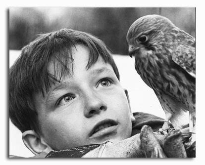 (SS2322164) Movie picture of Kes buy celebrity photos and posters at ...