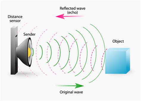 Diagram Of An Echo, HD Png Download - kindpng