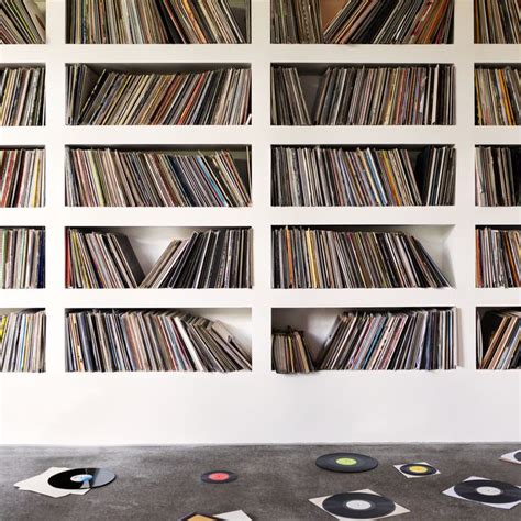 11 Best Vinyl Record Storage Ideas 2024: Learn More Here