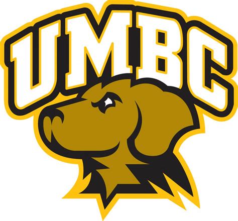 Female Swimmer Sues UMBC Alleging Mishandling Abuse Claims