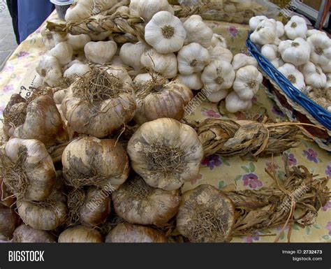 Garlic Varieties Stock Photo & Stock Images | Bigstock