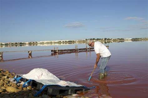 In the Heart of the Camargue Salt Harvest | L'OCCITANE en Provence ...