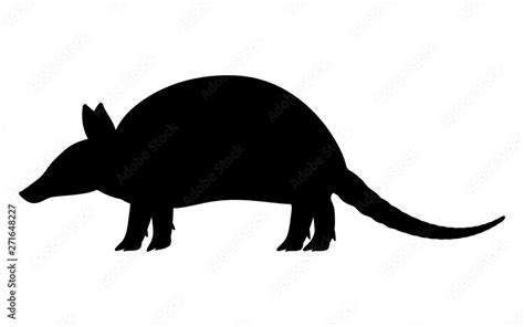 Vector illustration black silhouette armadillo Stock Vector | Adobe Stock