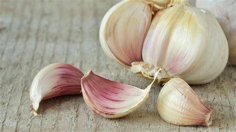 Fresh Garlic (3)