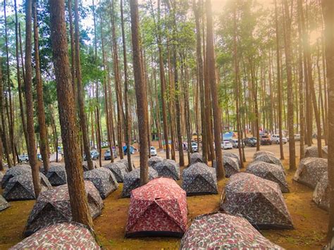 Premium Photo | Camping resort doi inthanon national park chaingmai thailand.