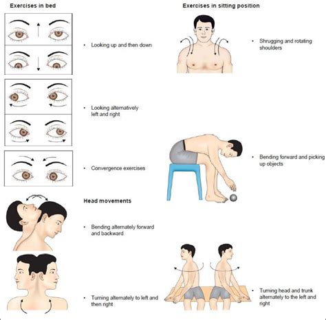 Vestibular Rehabilitation: An Overview | Rehabilitation therapy, Rehabilitation exercises ...