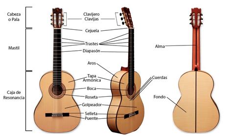 🔥🔥 Partes de una guitarra: Cuales son. Para que sirven. Como se usan