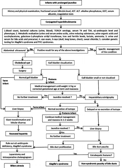 Flow chart for the management of the neonatal cholestasis in term and ...