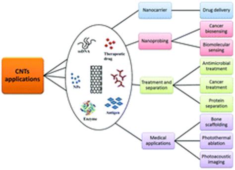 Carbon nanotubes: a novel material for multifaceted applications in ...