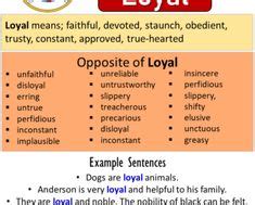 Opposite Of Random, Antonyms of Random, Meaning and Example Sentences ...