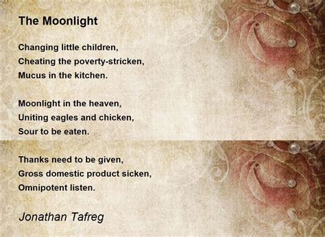 The Moonlight by Jo Africa - The Moonlight Poem