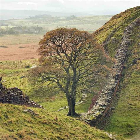 Sycamore Gap, Hadrian's Wall, Northumberland National Park - Simon Fraser Photo