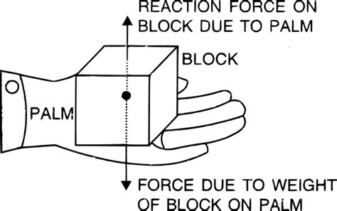 What is a normal reaction force? Draw a neat labelled | KnowledgeBoat