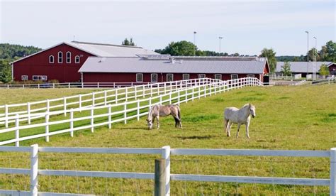 Horse Farm Names - Helpful Horse Hints