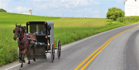 1 Day Tour of Amish Country, Pennsylvania - Road Unraveled