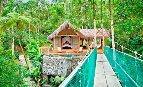 6 Best Costa Rica Treehouse Hotels | Costa Rica Experts