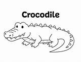 Crocodile Coloring Pages Kids sketch template