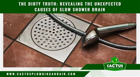 Slow Shower Drain Causes: What You Need to Know