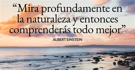 12 frases sobre naturaleza para conectarnos con ella