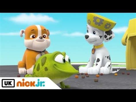 Paw Patrol | Pups Save a Flying Frog | Nick Jr. UK - YouTube | Paw patrol pups, Pup, Paw patrol