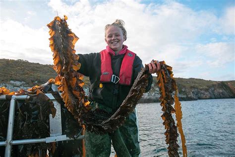 Farming seaweed in UK waters for a sustainable future - Geographical