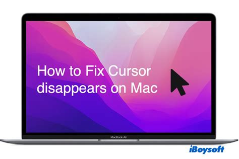 Mouse Cursor Disappears on Mac: Why & How to Fix